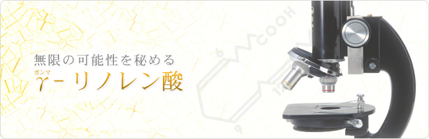 無限の可能性を秘める γ-リノレン酸
